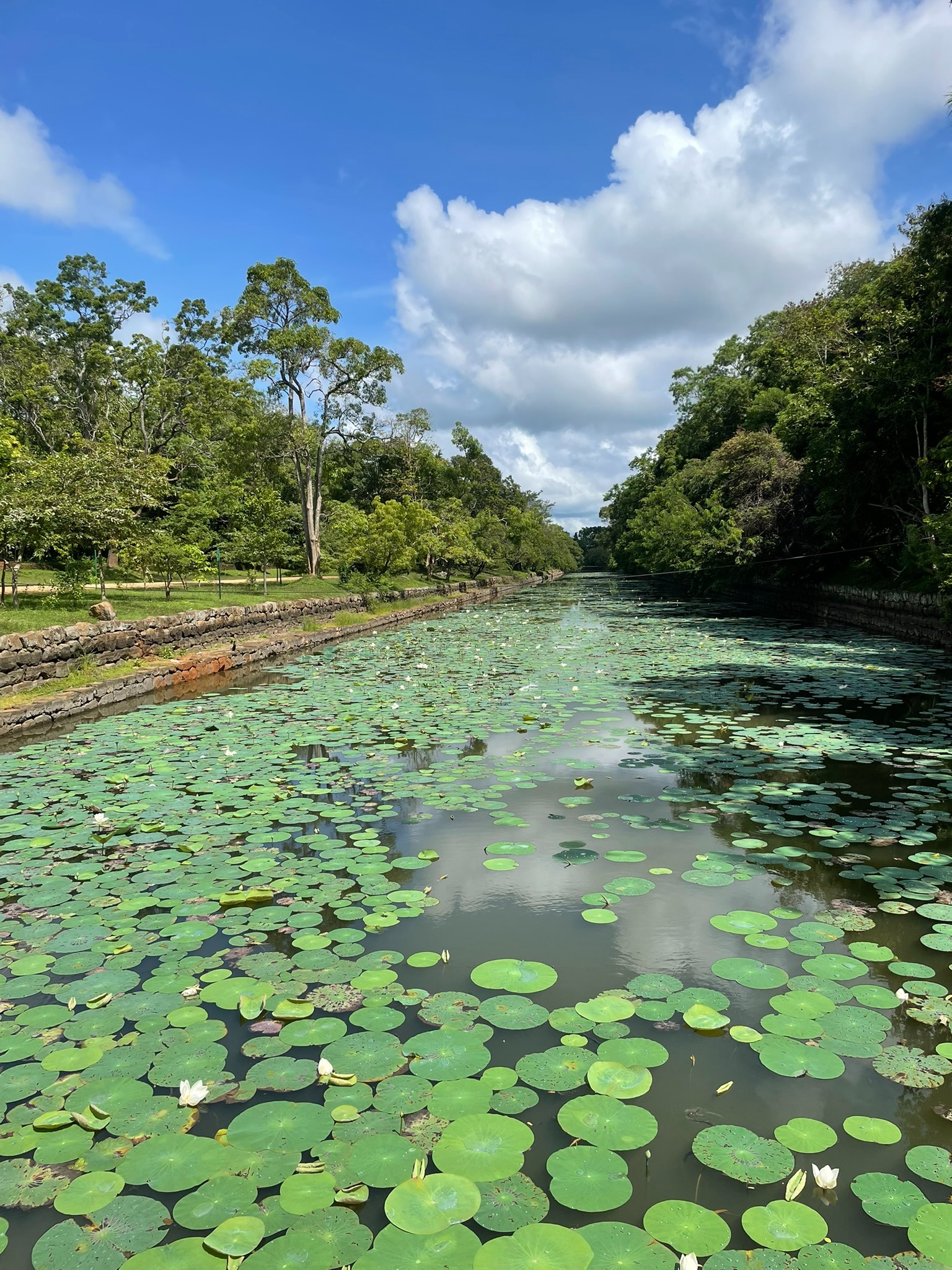 Img 7125 ZrLZLv9rQRU6Hhv4