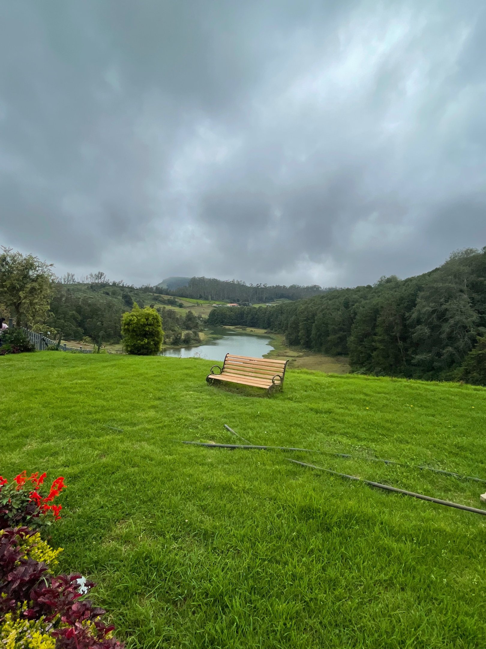 Img 9497 02Rqhwxaxw0N45dN